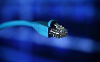 Blue RJ-45 patch cord connector